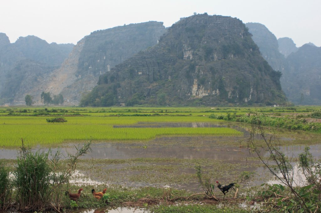 10-Landscape in the Dry Halong Bay.jpg - Landscape in the Dry Halong Bay
